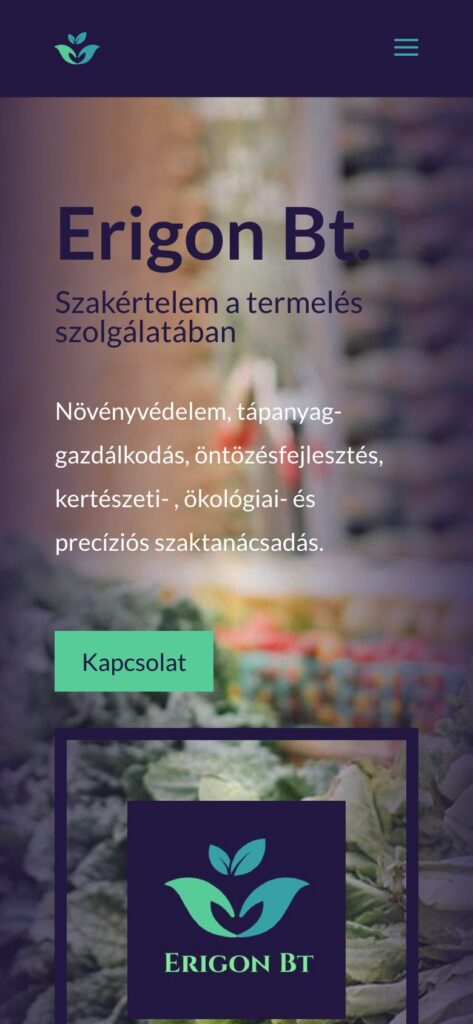 A(z) Erigon oldala mobilon