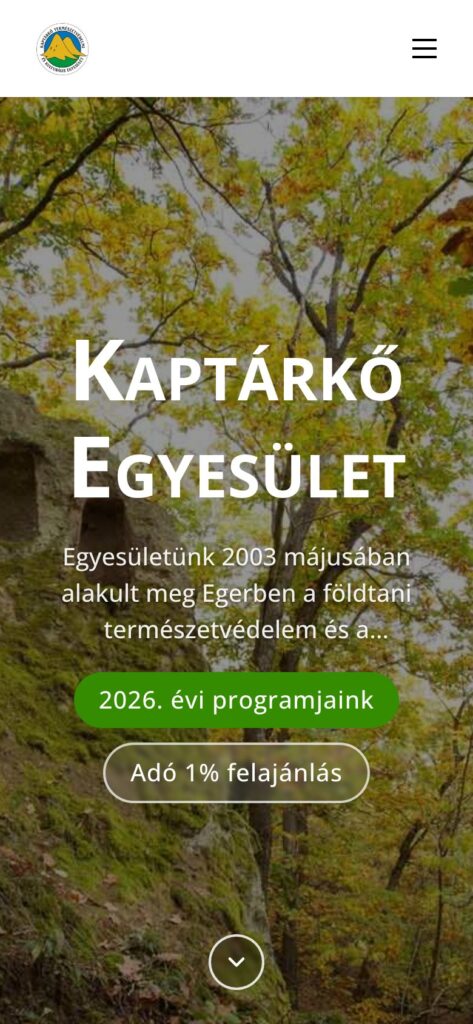 A(z) Kaptárkő Egyesület oldala mobilon